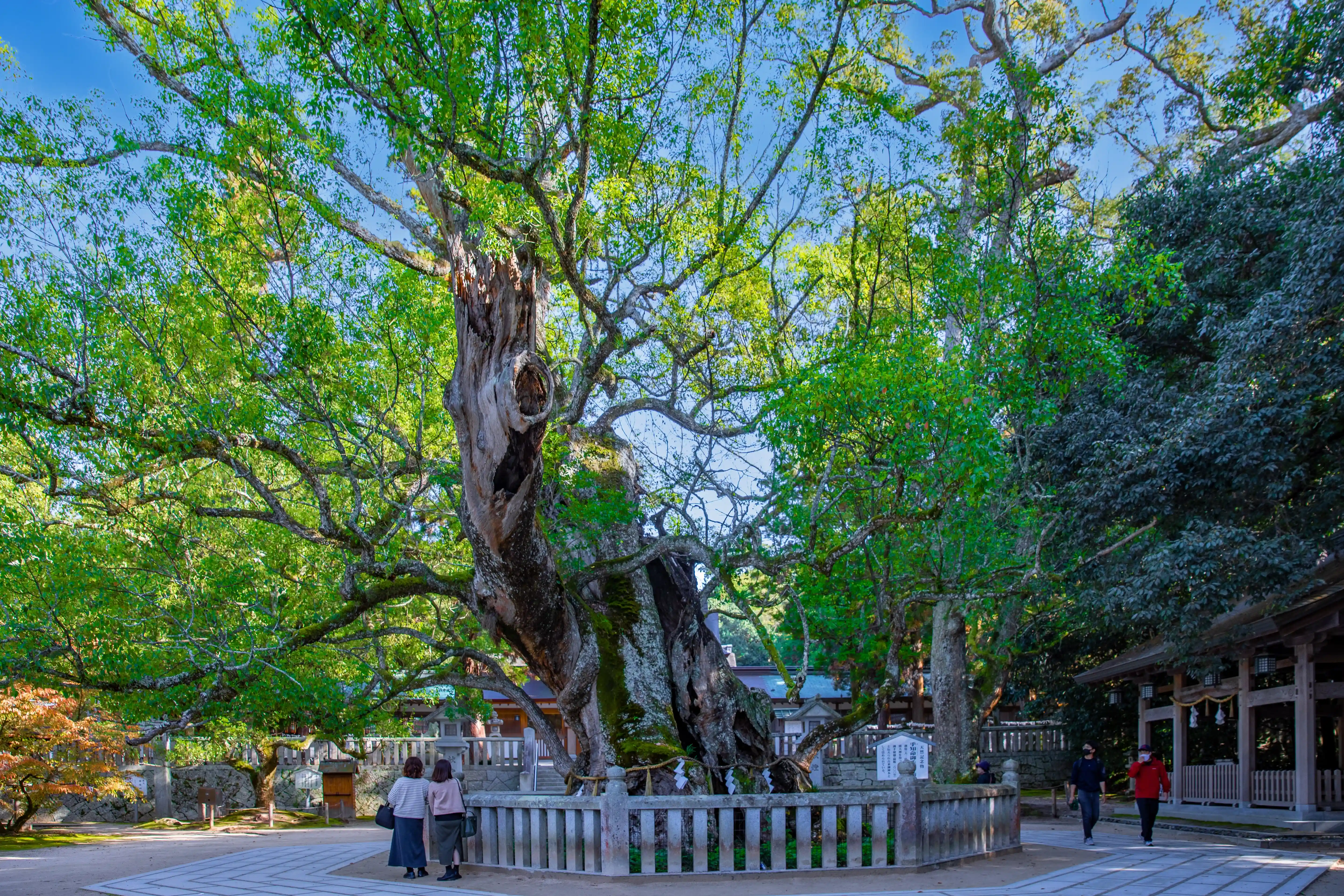 大山祇神社