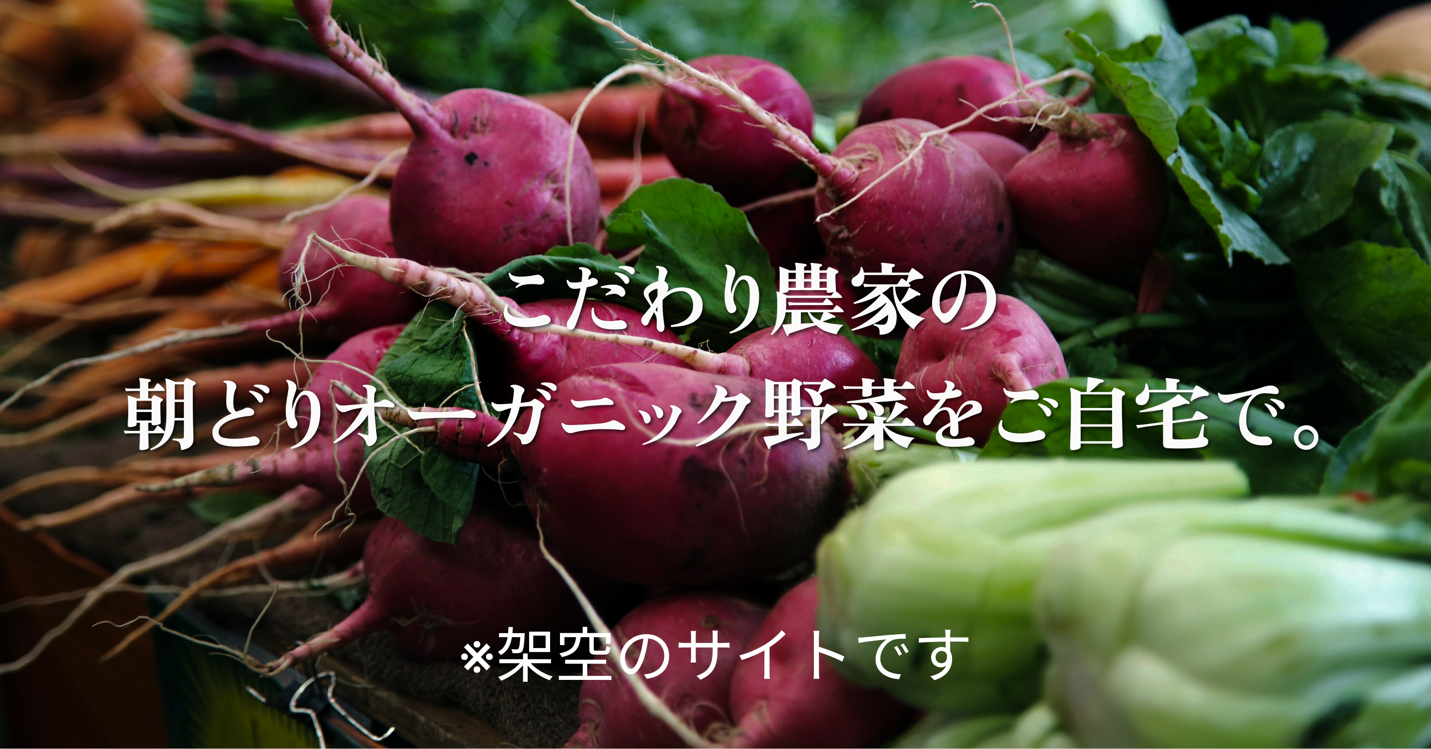 こだわり農家の朝どりオーガニック野菜をご自宅で。